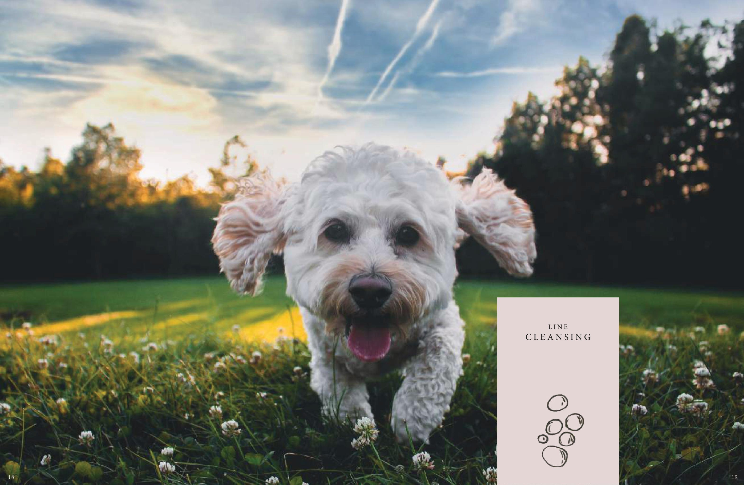 Dog Shampoos & Conditioners