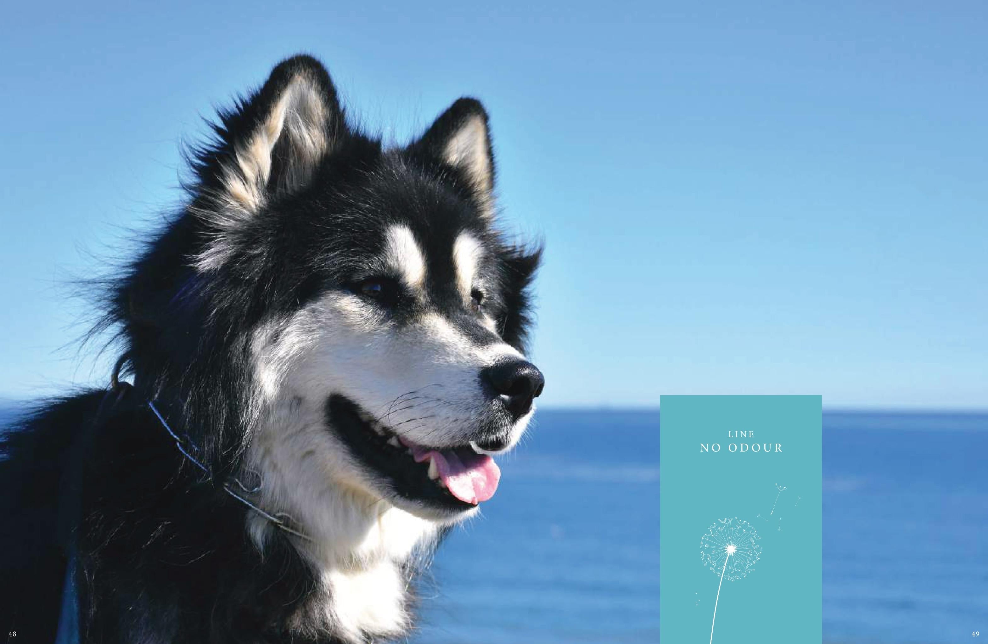 Flea Shampoos for Dogs