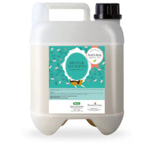 Šunų šampūnas su mente ir eukaliptu – gaivus kvapas