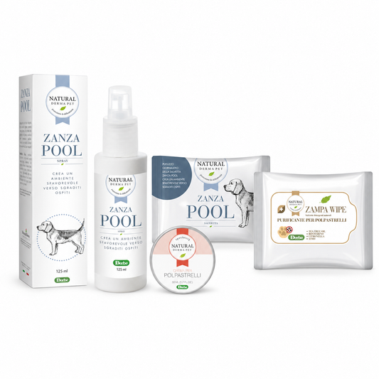 Dog Hiking & Outdoor Care Bundle – Insect & Paw Protection