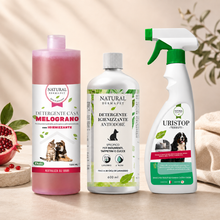 Pet Home Cleaning Bundle – Stains & Odors
