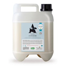 Dog Shampoo Deodorizing Citrus and Eucalyptus Scent