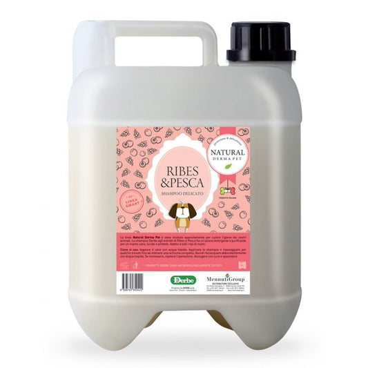 Dog shampoo with blackcurrant and peach – 5L bottle